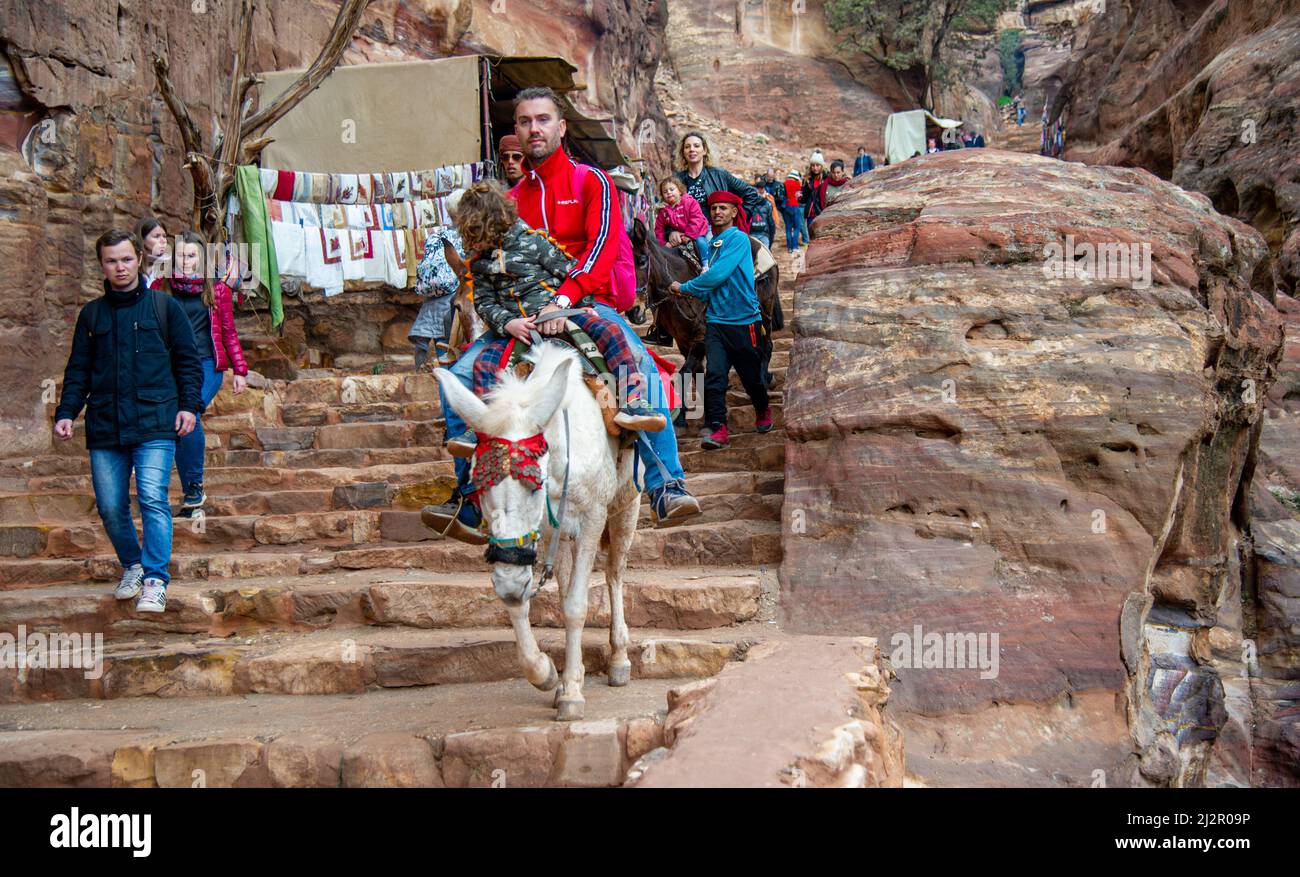 Tourist, der einen Beduinenesel für den Transport in Petra Jordan verwendet 20. Februar 2020. Steigt neben anderen Touristen, die zu Fuß gehen, die Treppe hinunter Stockfoto