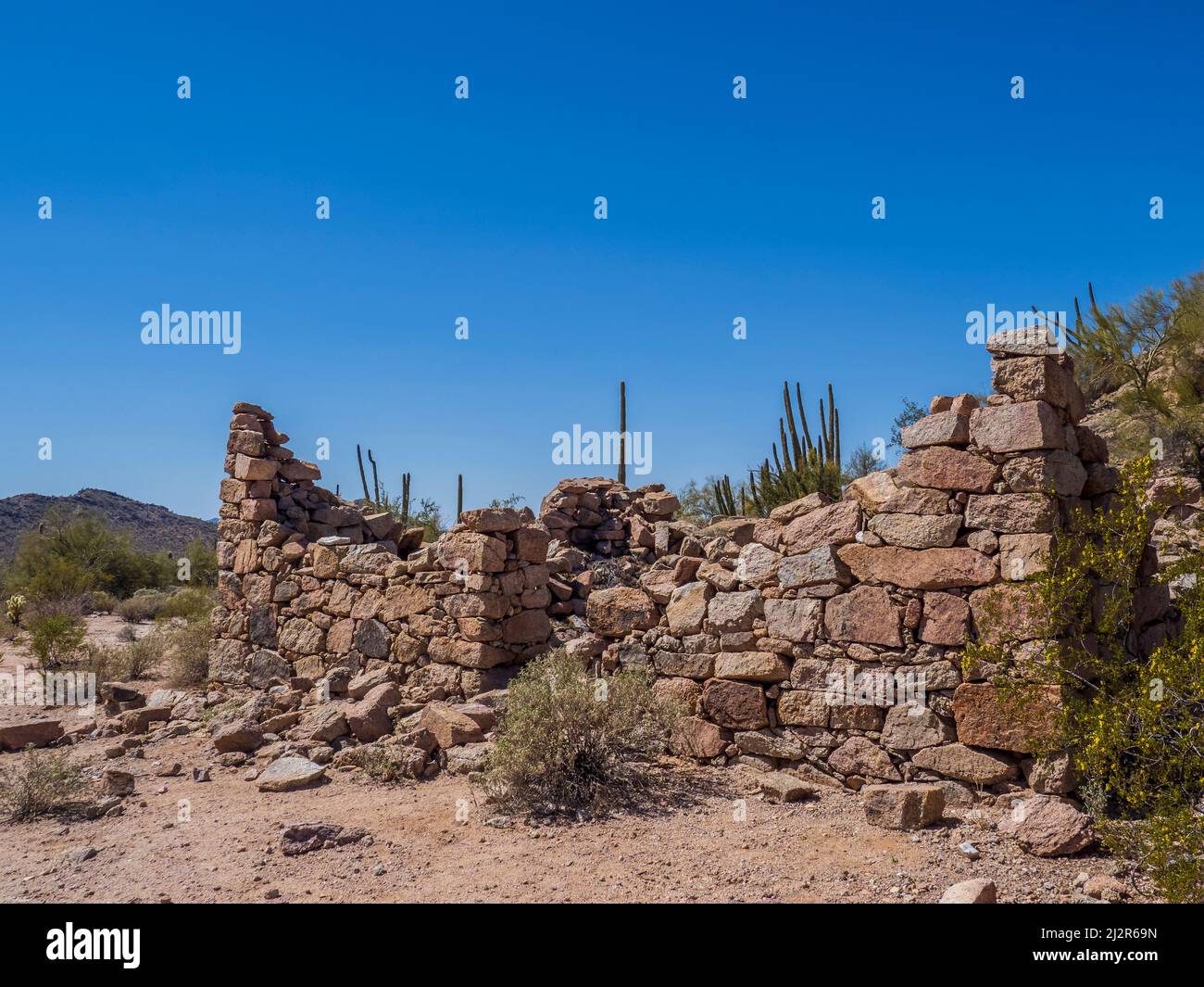 Steingebäude, Lost Cabin Mine, Lost Cabin Mine Trail, Organ Pipe Cactus National Monument. Stockfoto