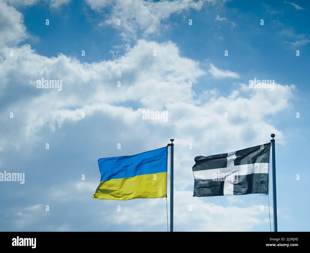 Die Flagge der Ukraine flyst neben der Flagge des kornischen Heiligen Piran gegen einen wolkig blauen Himmel. Menschen in Cornwall in Solidarität mit den Menschen in der Ukraine. Stockfoto