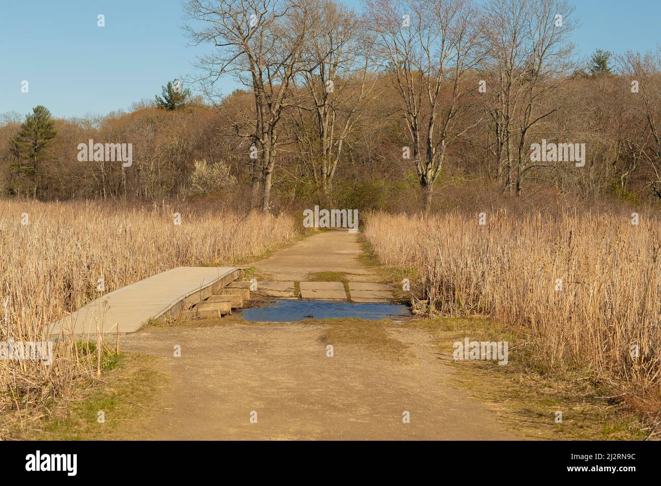 Einer von zwei Standorten (der andere in Sudbury, Massachusetts) bietet diese Seite einen herrlichen Blick auf die Natur und Wasservögel, Enten, etc. In einem ländlichen Teil von Concord, Ma Stockfoto