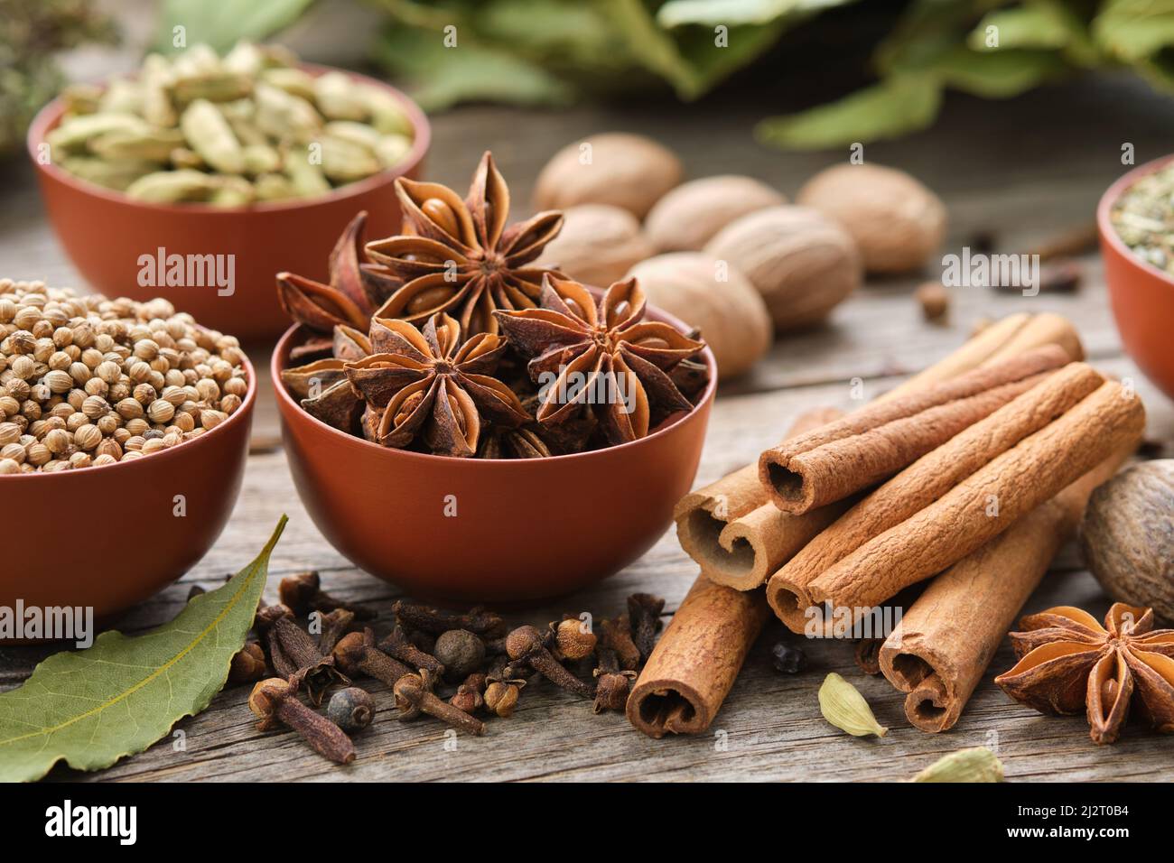 Schalen mit aromatischen Gewürzen - Anise, Koriander, Kardamom-Schoten. Handschuhe, Zimtstangen, Muskatnüsse, Lorbeerblätter. Zutaten für gesundes Kochen. Ayurvedi Stockfoto