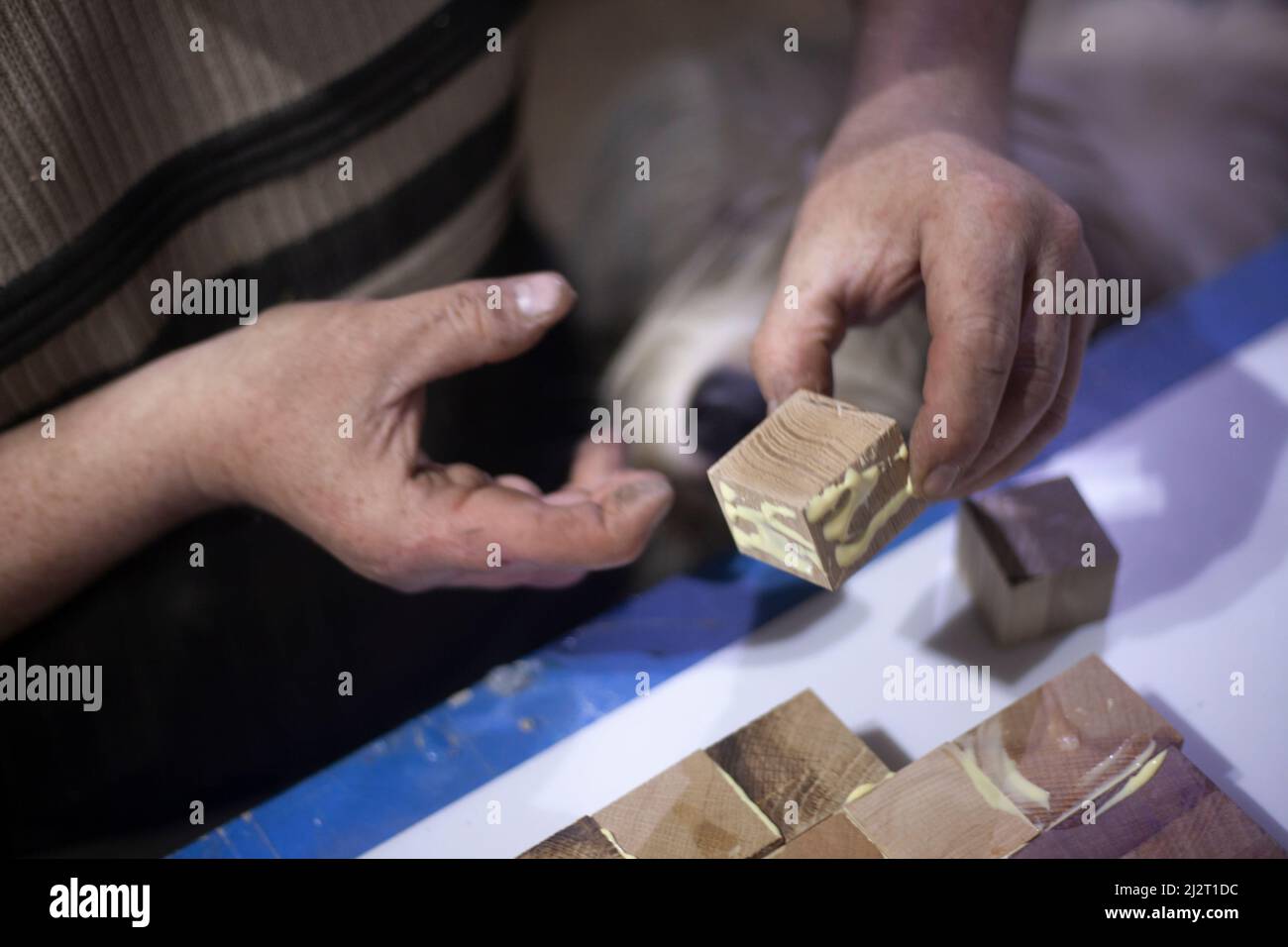 Kleben von Holz in der Werkstatt. Die Verwendung von Klebstoff für verschiedene Holzarten. Arbeitsplatten für die Küche. Der Mann verbringt seine Zeit in der Zimmerei. Arbeiten Stockfoto