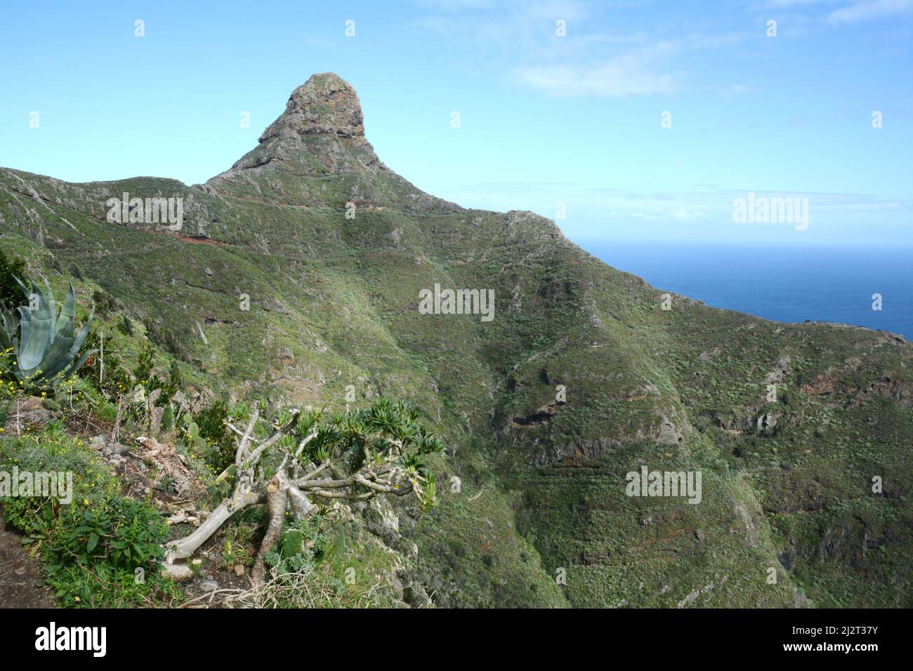 Auf dem Wanderweg, der zum Gipfel Roque de Taborno in den Anaga-Bergen von Teneriffa führt, Anaga Rural Park, Kanarische Inseln, Spanien. Stockfoto