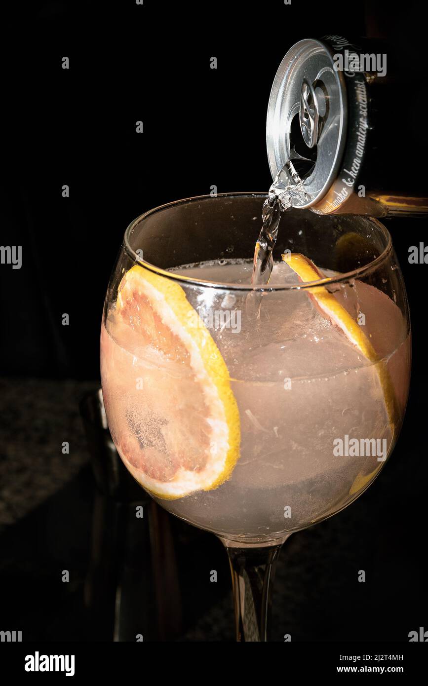 ZUBEREITUNG EINES COCKTAILS AUS GIN UND TONIC WATER MIT GRAPEFRUITSCHEIBEN. Stockfoto