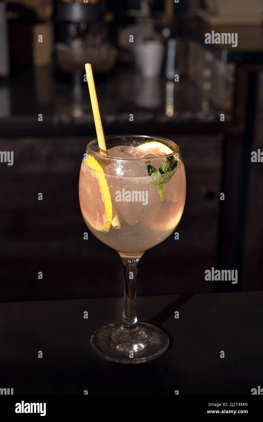 COCKTAIL BESTEHEND AUS GIN UND TONIC WATER, MIT GRAPEFRUITSCHEIBEN. Stockfoto