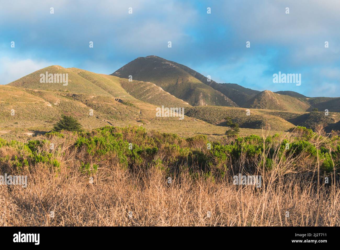 Valencia Gipfel, Los Osos Tal, grüne Hügel, und Kalifornien einheimischen Wald mit schönen bewölkten Himmel auf dem Hintergrund. Das Landschutzgebiet, San Luis OBIS Stockfoto