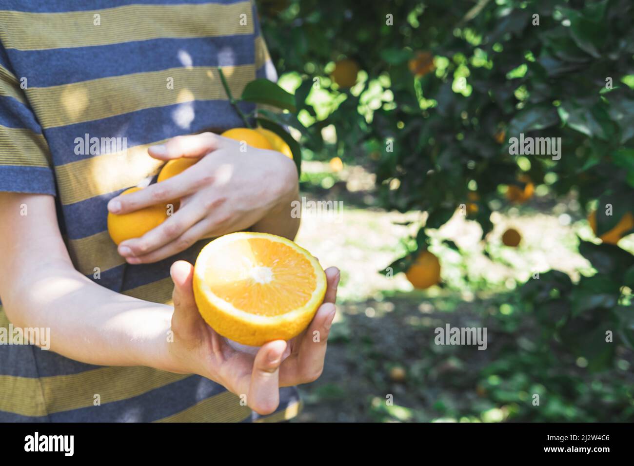 Der Junge hält eine halbe saftige Orange in den Händen. Stockfoto