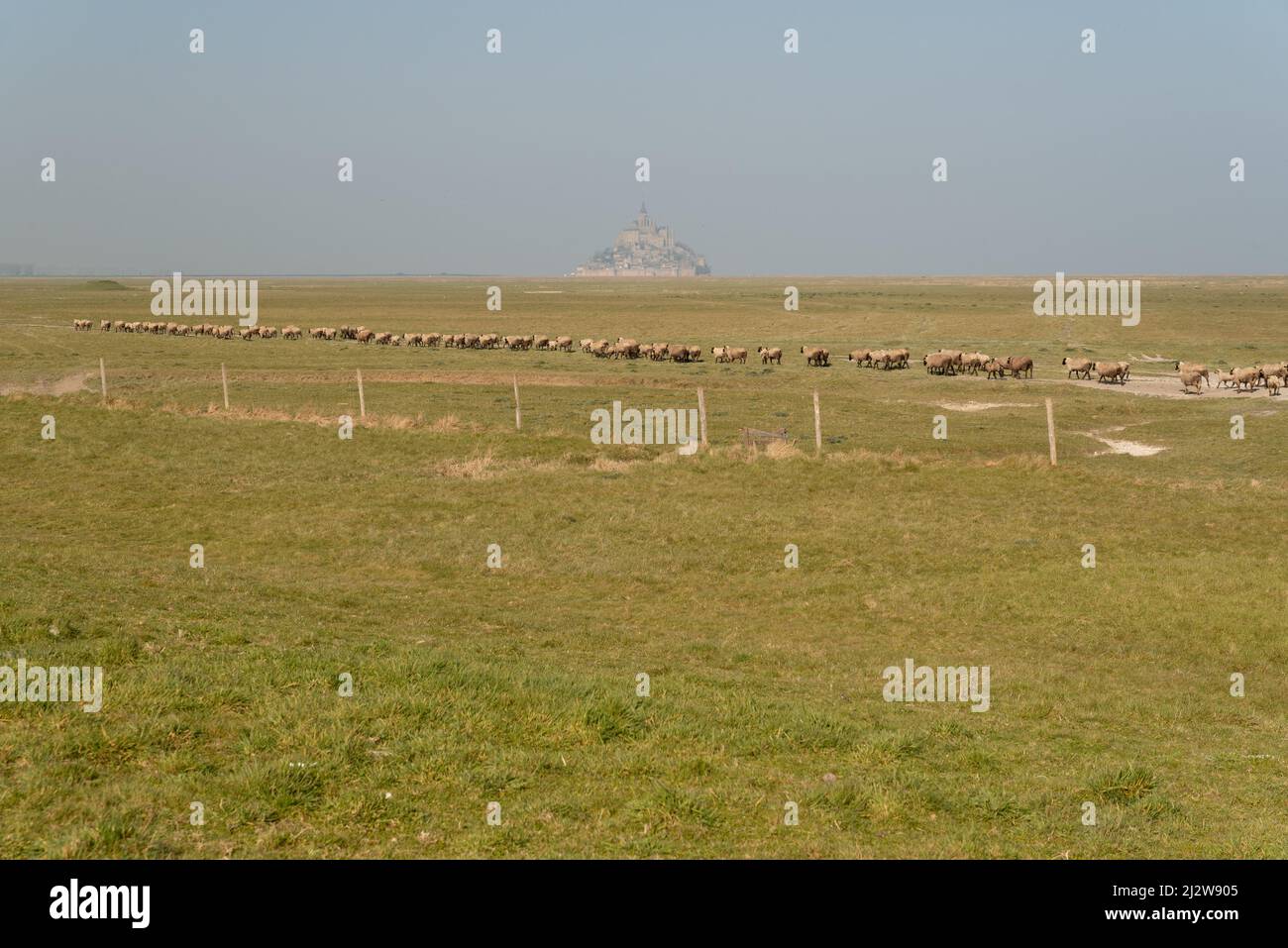 Mont Saint Michel von weitem Stockfoto