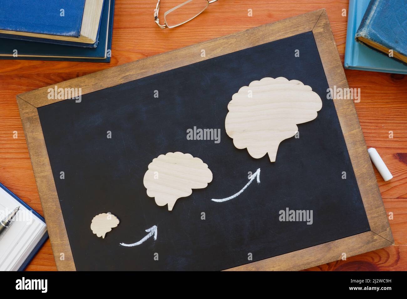 Konzept des lebenslangen oder kontinuierlichen Lernens. Gehirne auf der Tafel. Stockfoto