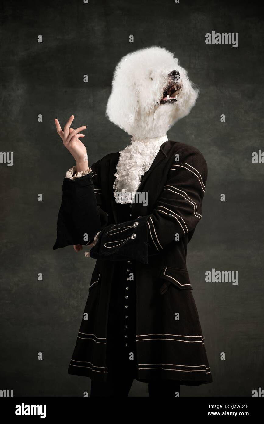 Modell wie mittelalterliche königliche Person in Vintage-Kleidung mit Hundekopf auf dunklem Vintage-Hintergrund isoliert geführt. Surrealismus Stockfoto