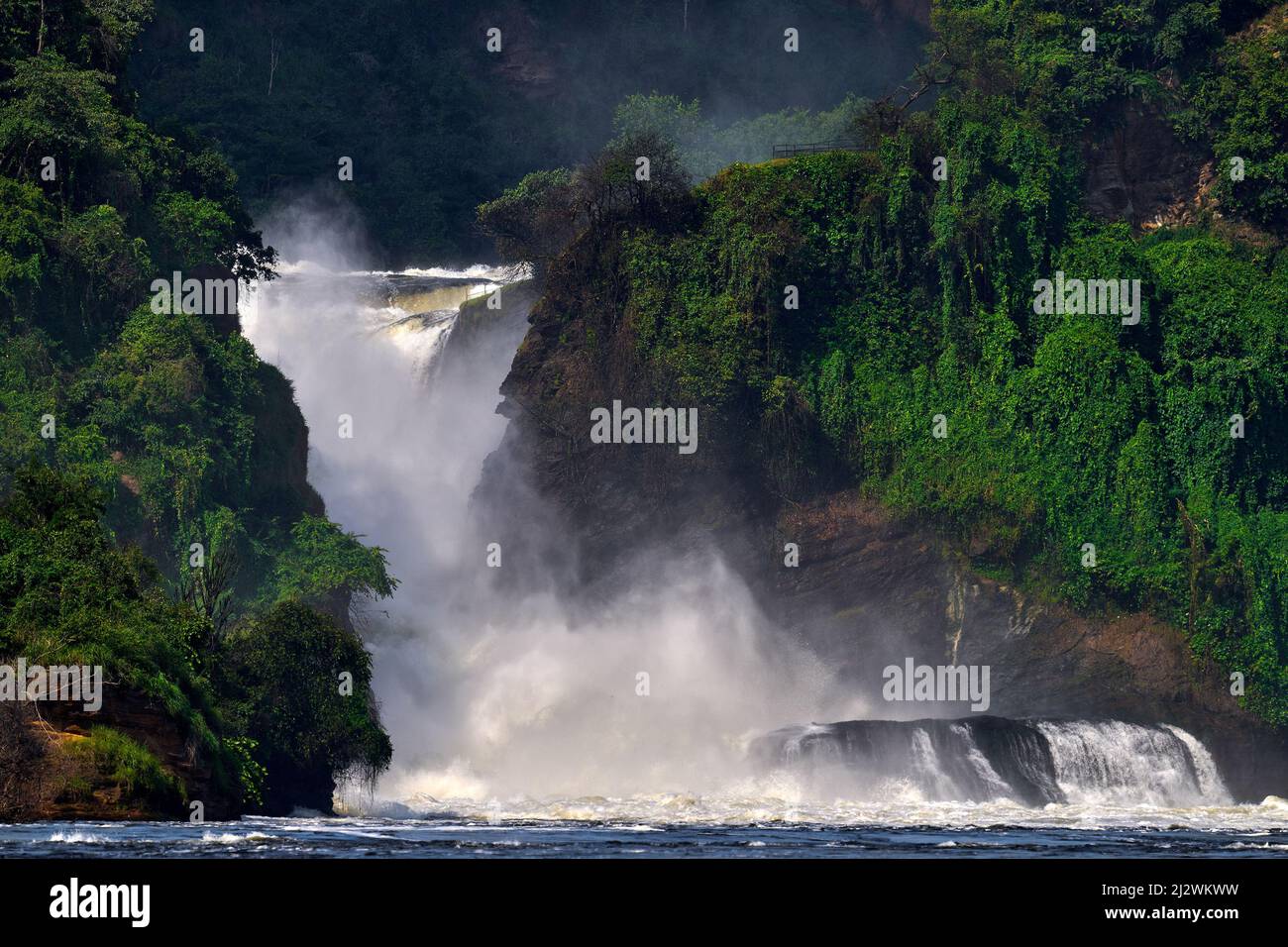 Murchison Falls, Wasserfall zwischen Lake Kyoga und Lake Albert auf dem Victoria Nil in Uganda. Afrika Flusslandschaft. Grüne Waldvegetation mit Wat Stockfoto