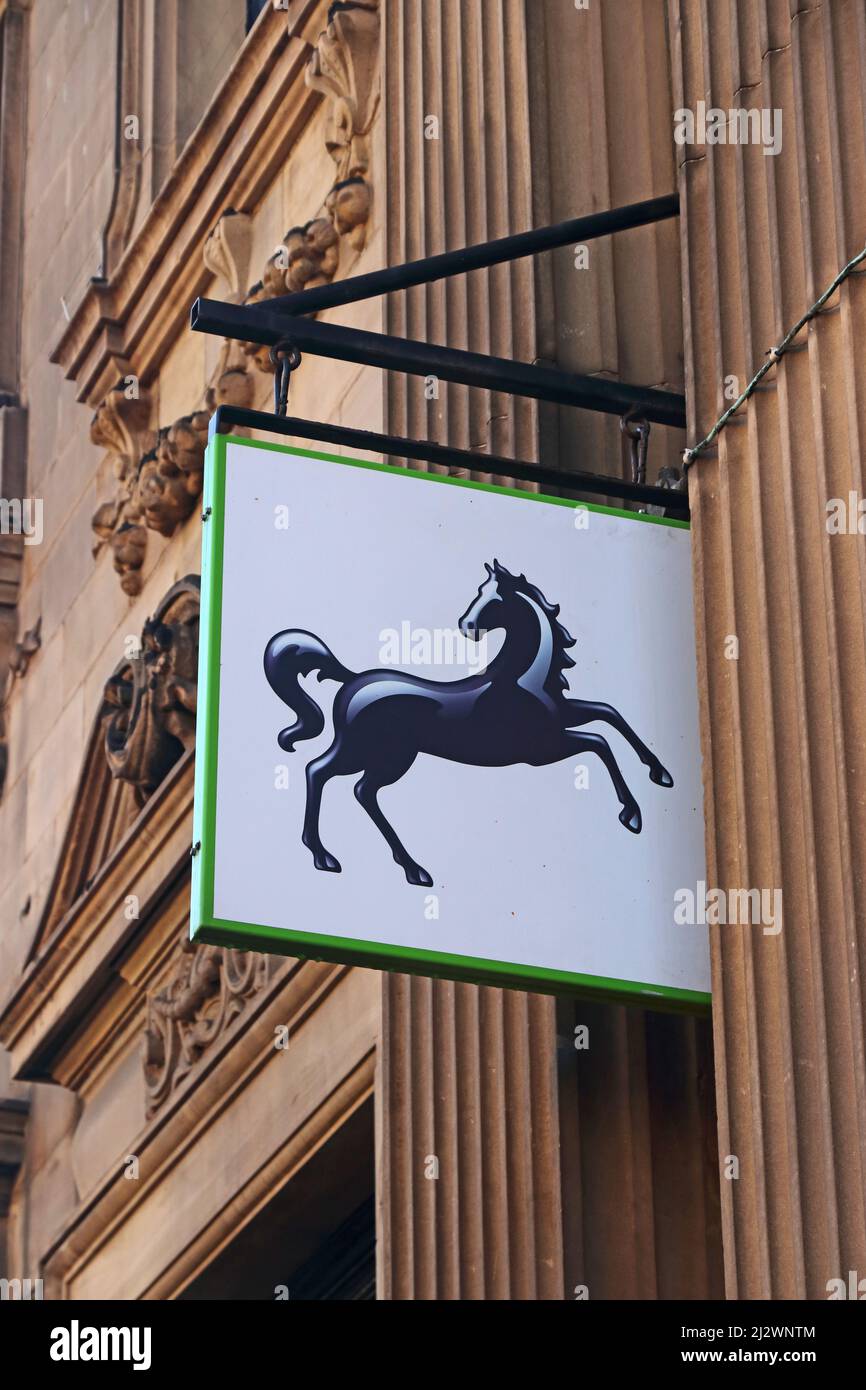Schwarzes Pferd Zeichen über Zweig der Lloyds Bank Stockfoto