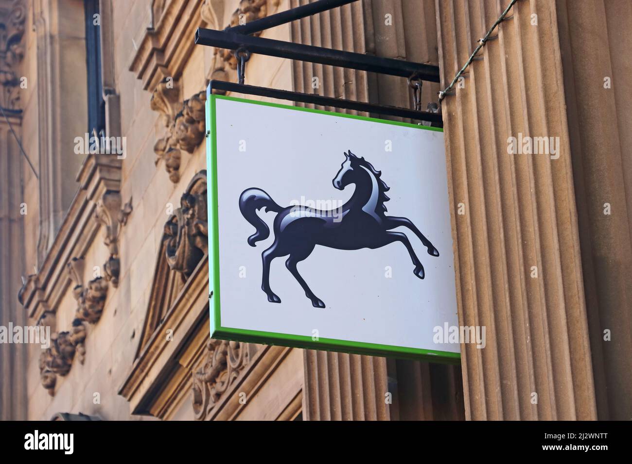 Schwarzes Pferd Zeichen über Zweig der Lloyds Bank Stockfoto