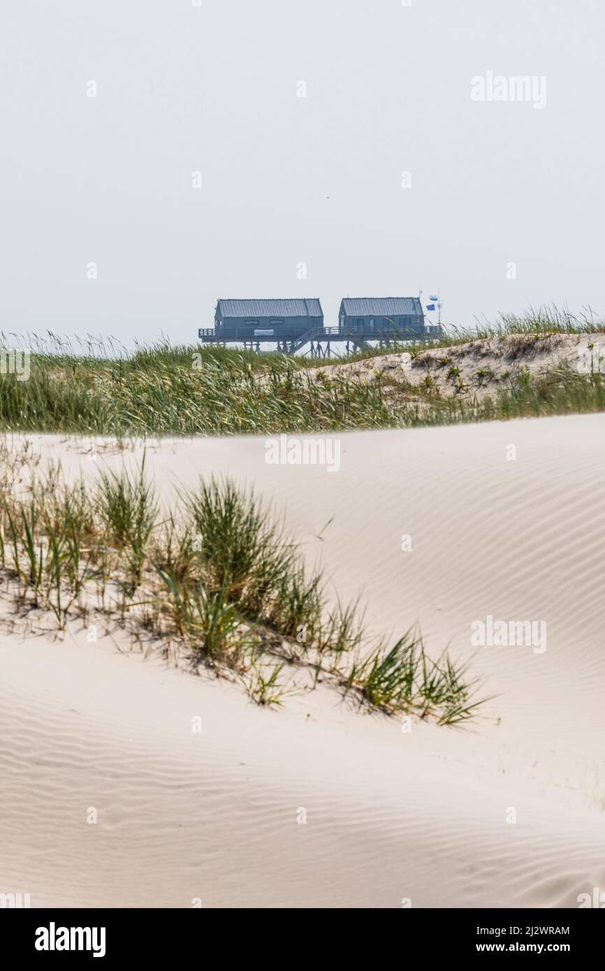 Dünen, Stelzenhäuser, Sankt Peter-Ording, Schleswig-Holstein, Deutschland Stockfoto