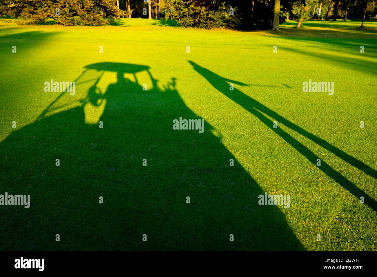 Schatten des Golfers und Golfwagen auf dem Golfplatz in Lugano, Schweiz. Stockfoto