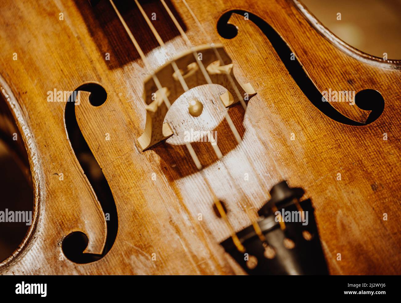 Nahaufnahme eines hölzernen, detailgefertigten Geigeninstruments in einer philharmonie Stockfoto