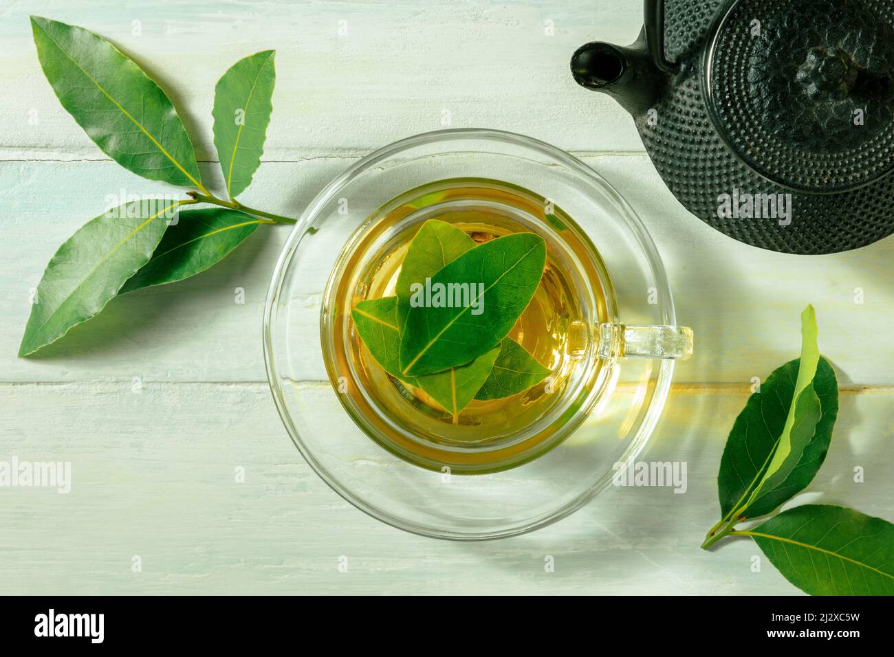 Lorbeer-Tee. Frische Lorbeerblätter Infusion mit einer Tasse und einer  Teekane, auf einem rustikalen Holzhintergrund, über Kopf flach lag Schuss  Stockfotografie - Alamy