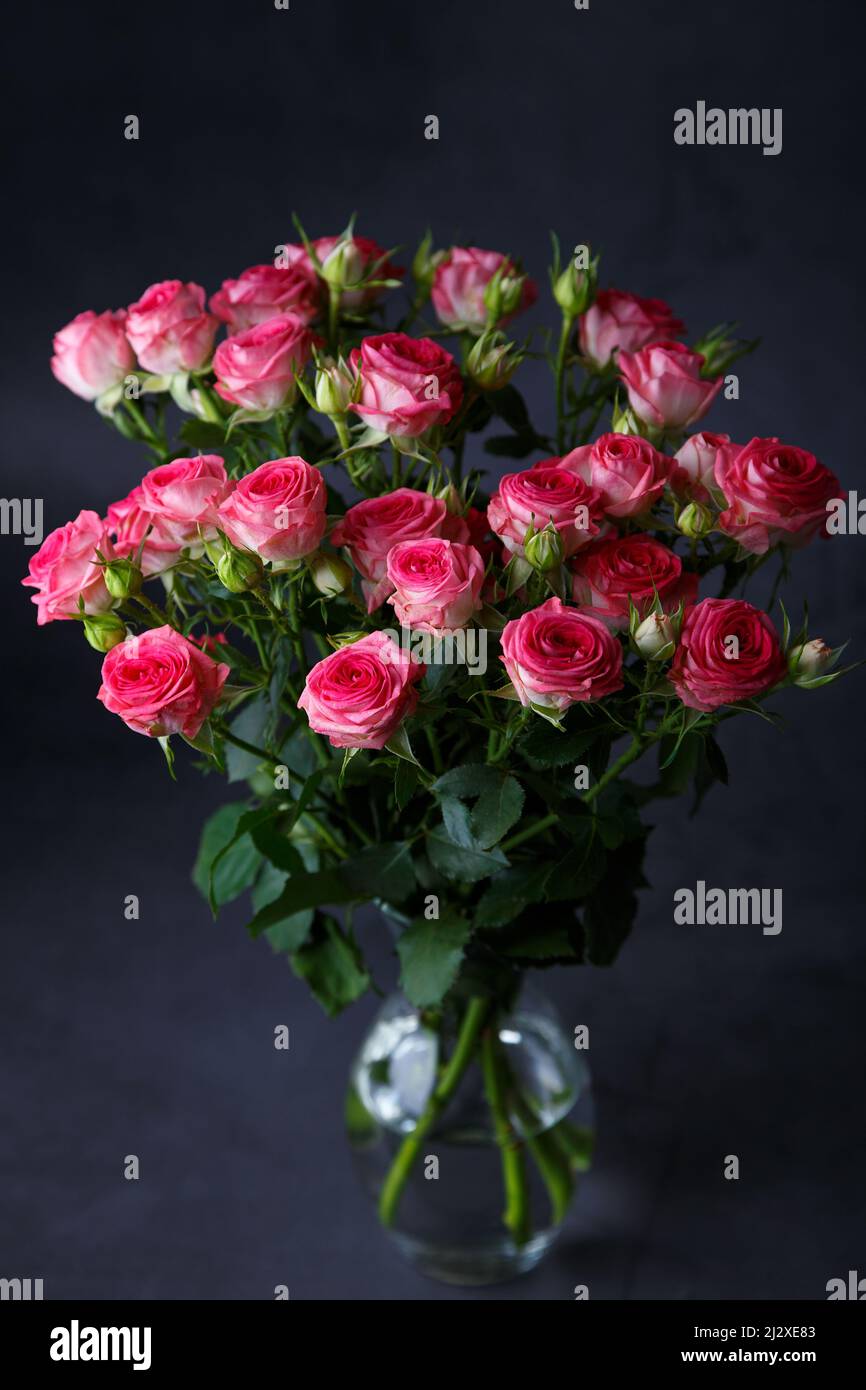 Schönes Bouquet von rosa (roten) Rosensträuchern auf schwarzem Hintergrund. Selektiver Fokus, Nahaufnahme. Stockfoto