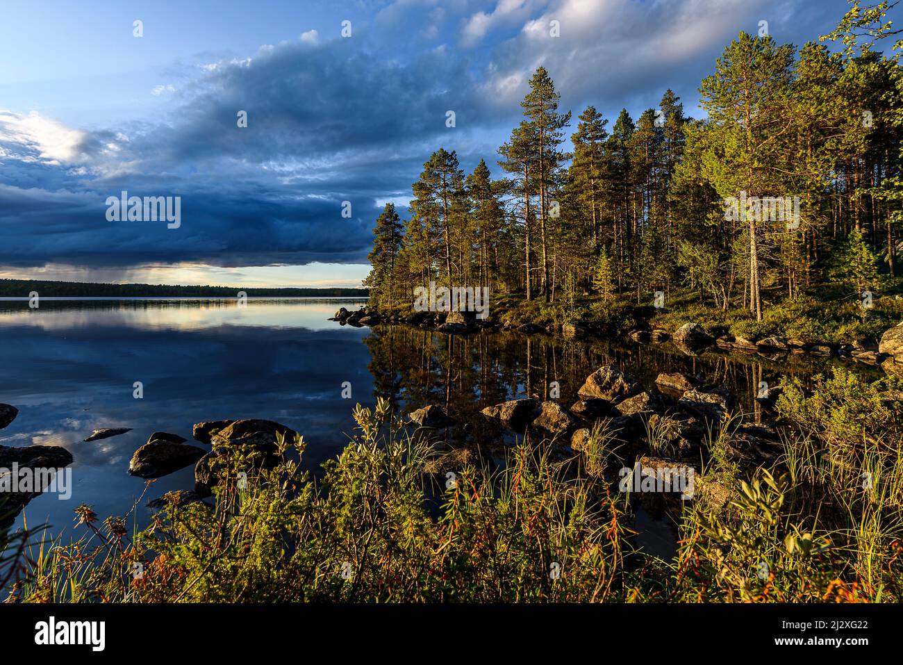 Landschaft auf der Wanderung zur Pielpajärvi Desolation Church, Inari, Finnland Stockfoto
