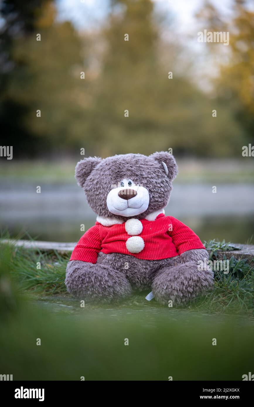 Verlassene Bären Stockfoto