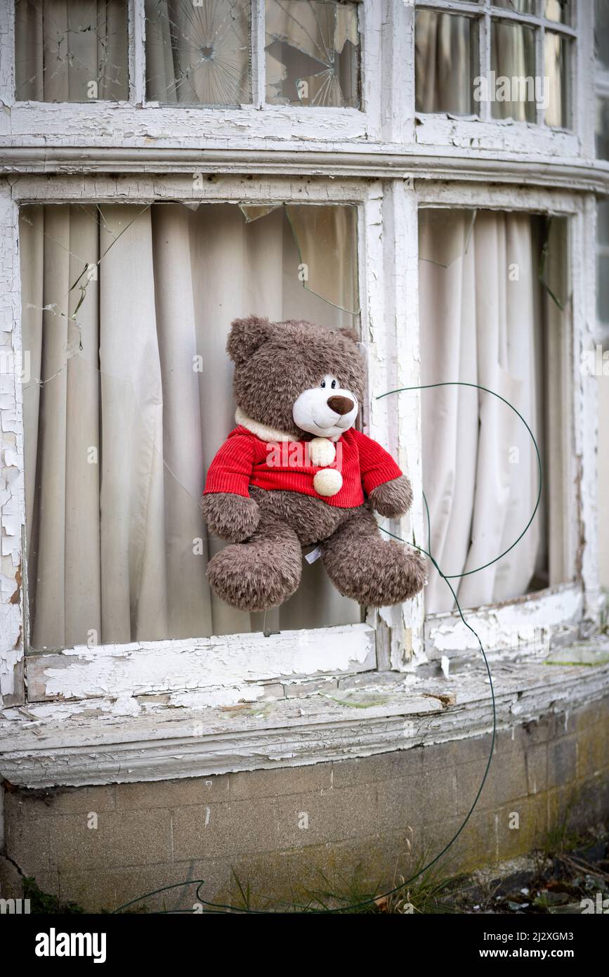 Verlassene Teddybär Stockfoto