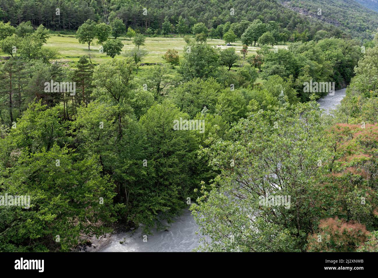 Der Tinee in der Region Alpes-Maritimes (Südostfrankreich). Landschaft im Landesinneren von Nizza Stockfoto