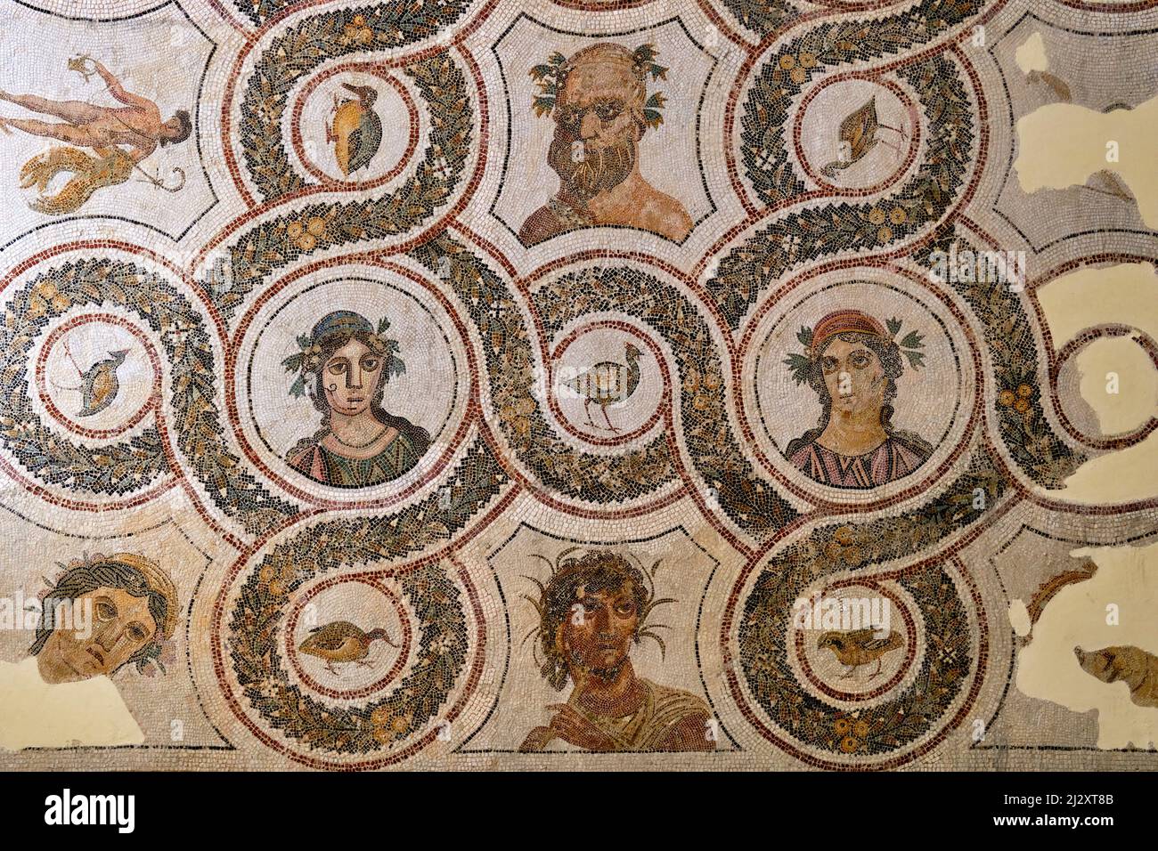 Tunesien, tunesische Zentralküste, El Jem, El Jem Museum, Mosaik von Vögeln und verschiedenen Charakteren, Hälfte des 3.. Jahrhunderts Stockfoto