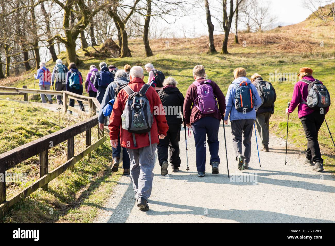 Lake District, Großbritannien - 21. März 2022. Eine Gruppe älterer Wanderer, die einen energischen Spaziergang im Lake District National Park Unternehmen Stockfoto