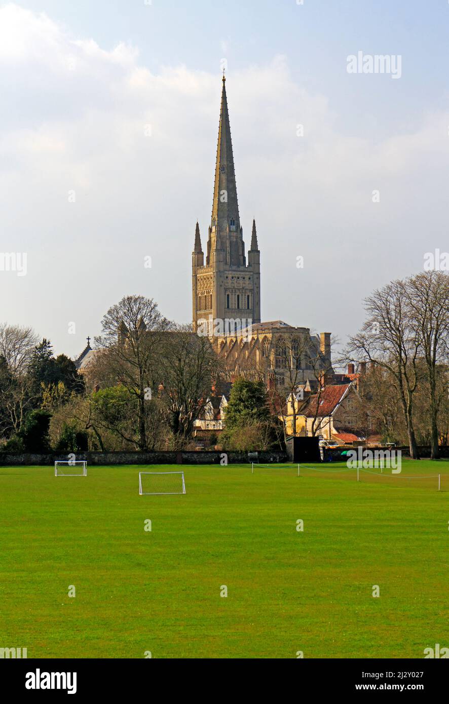 Ein Blick auf die Kathedrale von der Norwich School Spielfelder in der Stadt Norwich, Norfolk, England, Vereinigtes Königreich. Stockfoto