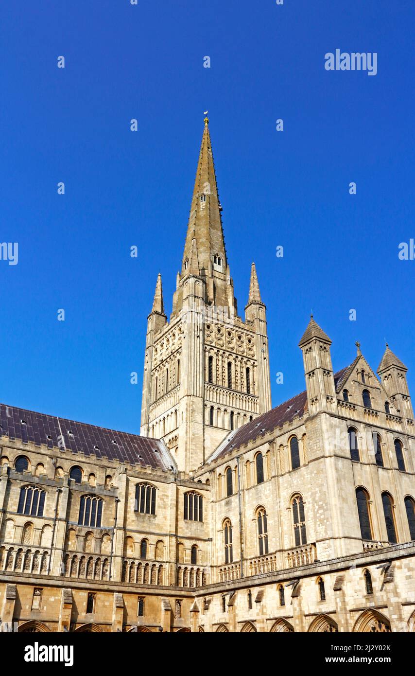 Blick auf den Turm und den Turm der Kathedrale vom Inneren der Klöster in der Stadt Norwich, Norfolk, England, Großbritannien. Stockfoto
