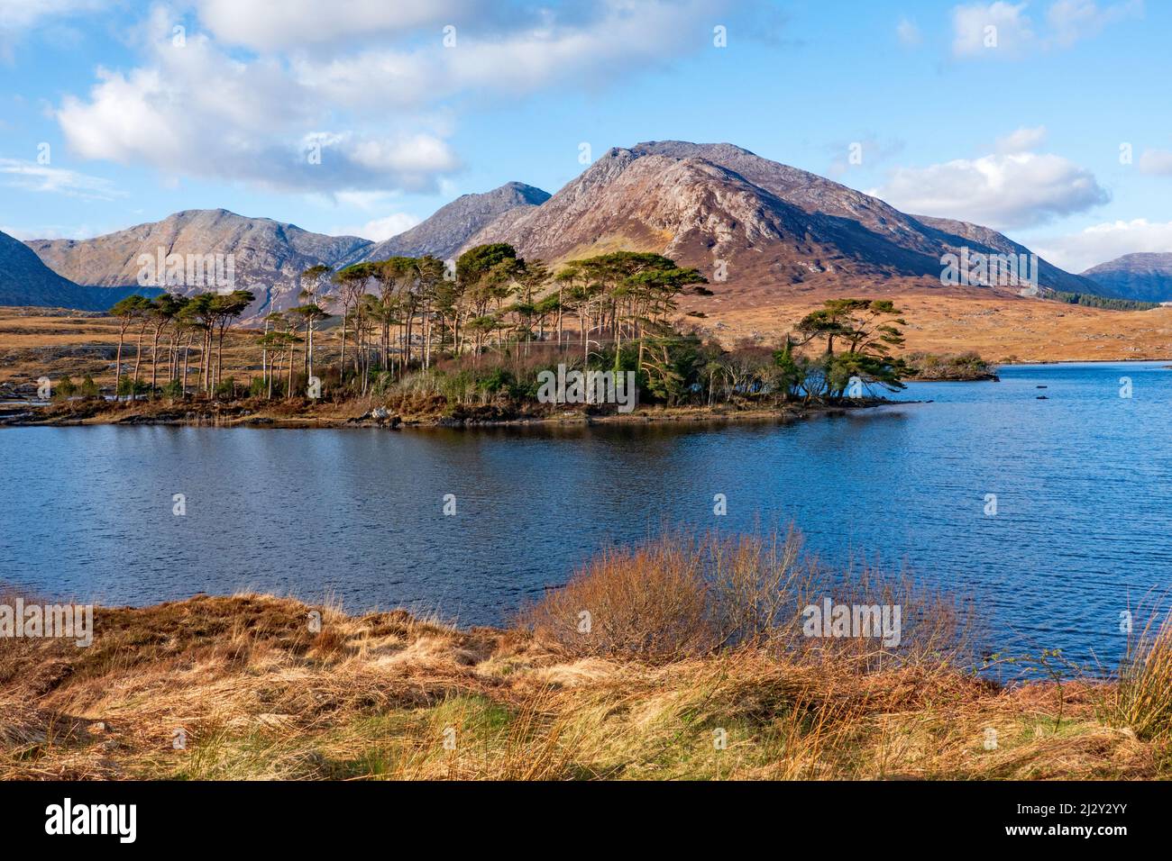 Derrylare Lake, Connemara Landschaft mit einem Teil der zwölf Bens Berge im Hintergrund; Connemara, County Galway, Irland Stockfoto