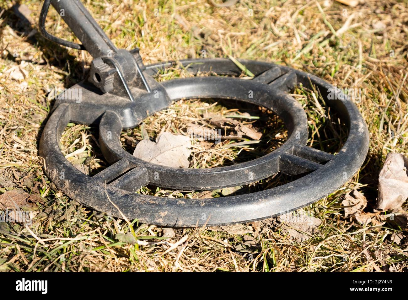 Suche nach Münzen mit einem Metalldetektor. Stockfoto