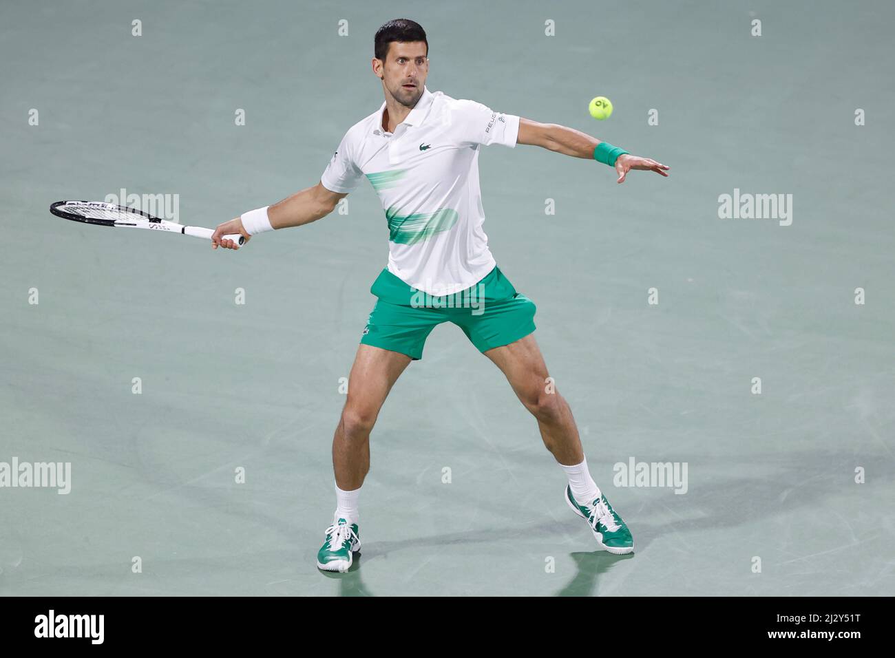 Der serbische Tennisspieler Novak Djokovic spielt einen hohen Vorhand-Volley-Schuss bei den Dubai Tennis Championships 2022 in Dubai, Vereinigte Arabische Emirate Stockfoto