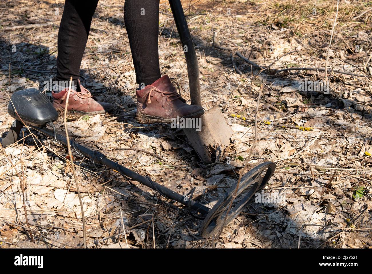 Schatzsuche im Frühlingswald mit einem Metalldetektor. Stockfoto