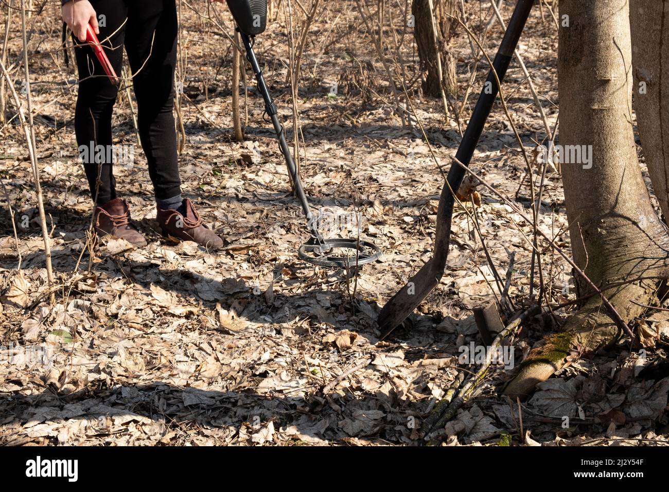 Mädchen, die mit einem Metalldetektor durch den Wald spazieren, Suche nach Münzschätzen. Stockfoto
