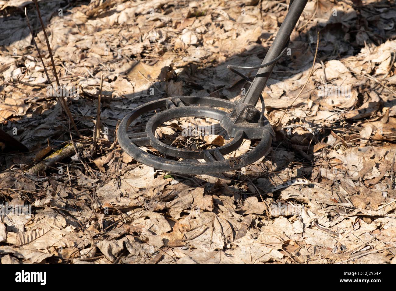 Mit einem Metalldetektor nach historischen Artefakten suchen. Stockfoto
