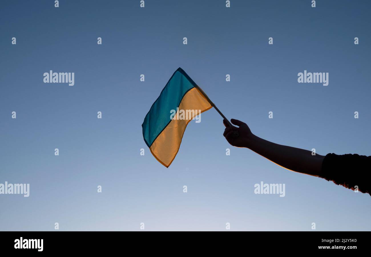 ukrainische Flagge in der Hand über dem klaren blauen Himmel. Stockfoto
