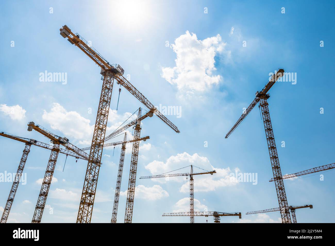 Baukräne, HafenCity, Hamburg-Mitte, Hamburg, Deutschland Stockfoto