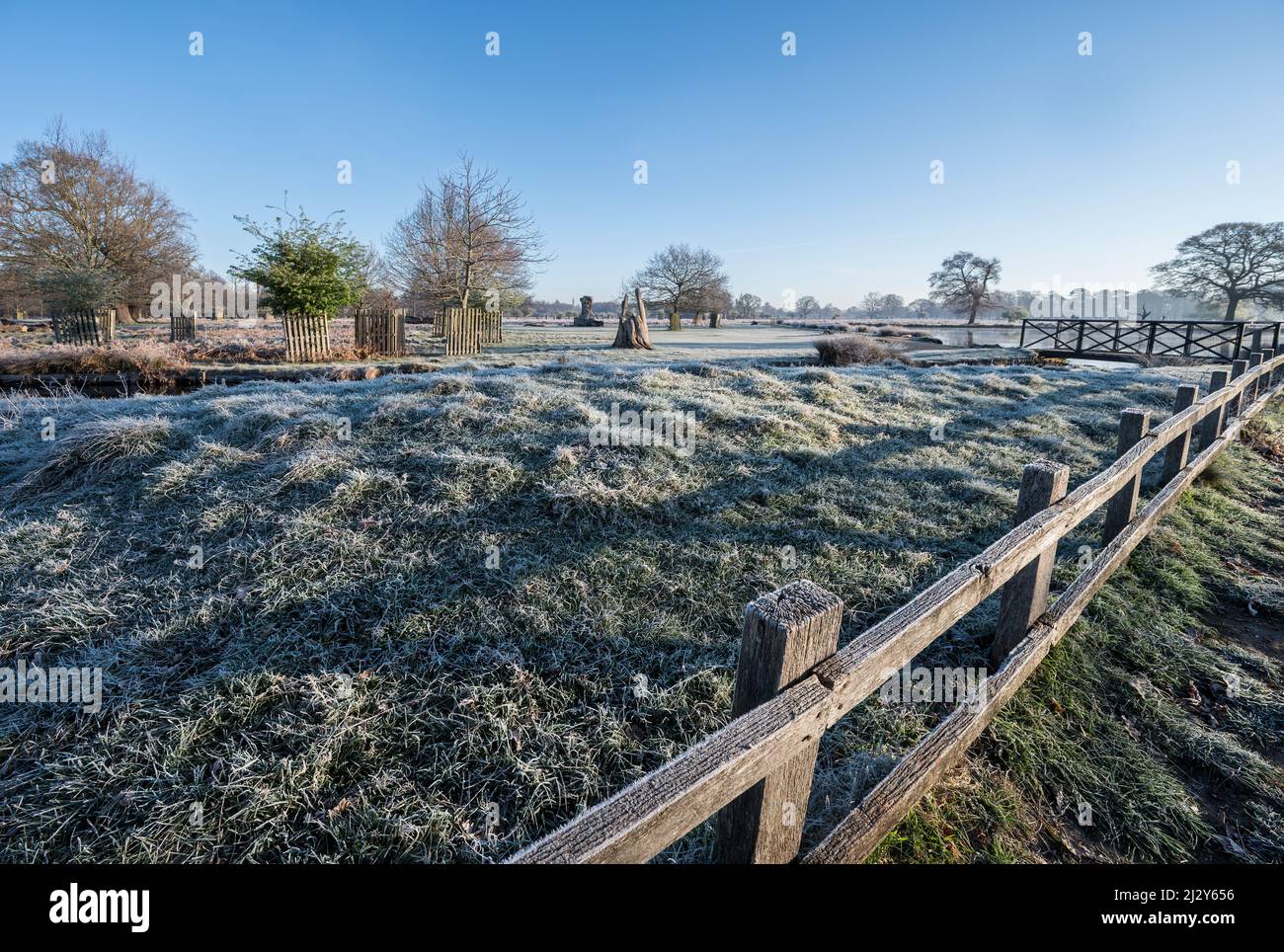 Unter Null mit Frost und Sonnenschein auf einem Spaziergang am frühen Morgen durch den buschigen Park Surrey Stockfoto
