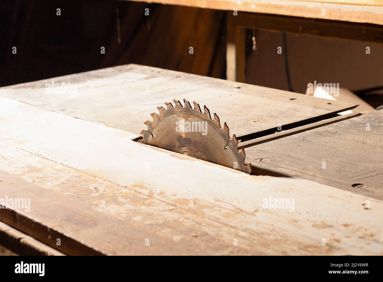 Kreissäge, Holzbearbeitungsmaschine zum Schneiden von Nahaufnahme. Stockfoto
