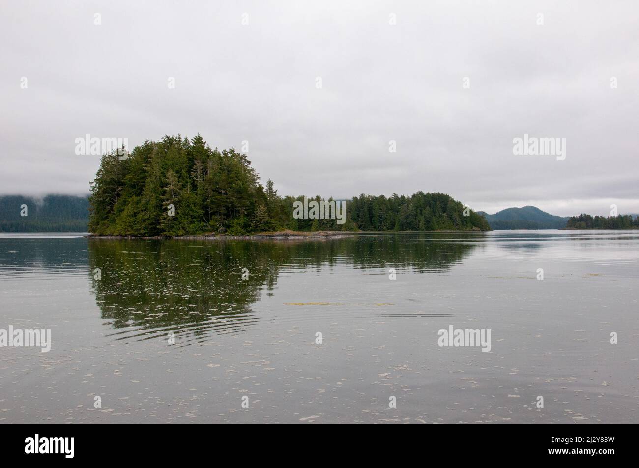 Mikes Island, Cox Bay, Tofino, British Columbia, Kanada, 20. Juli 2013. Stockfoto