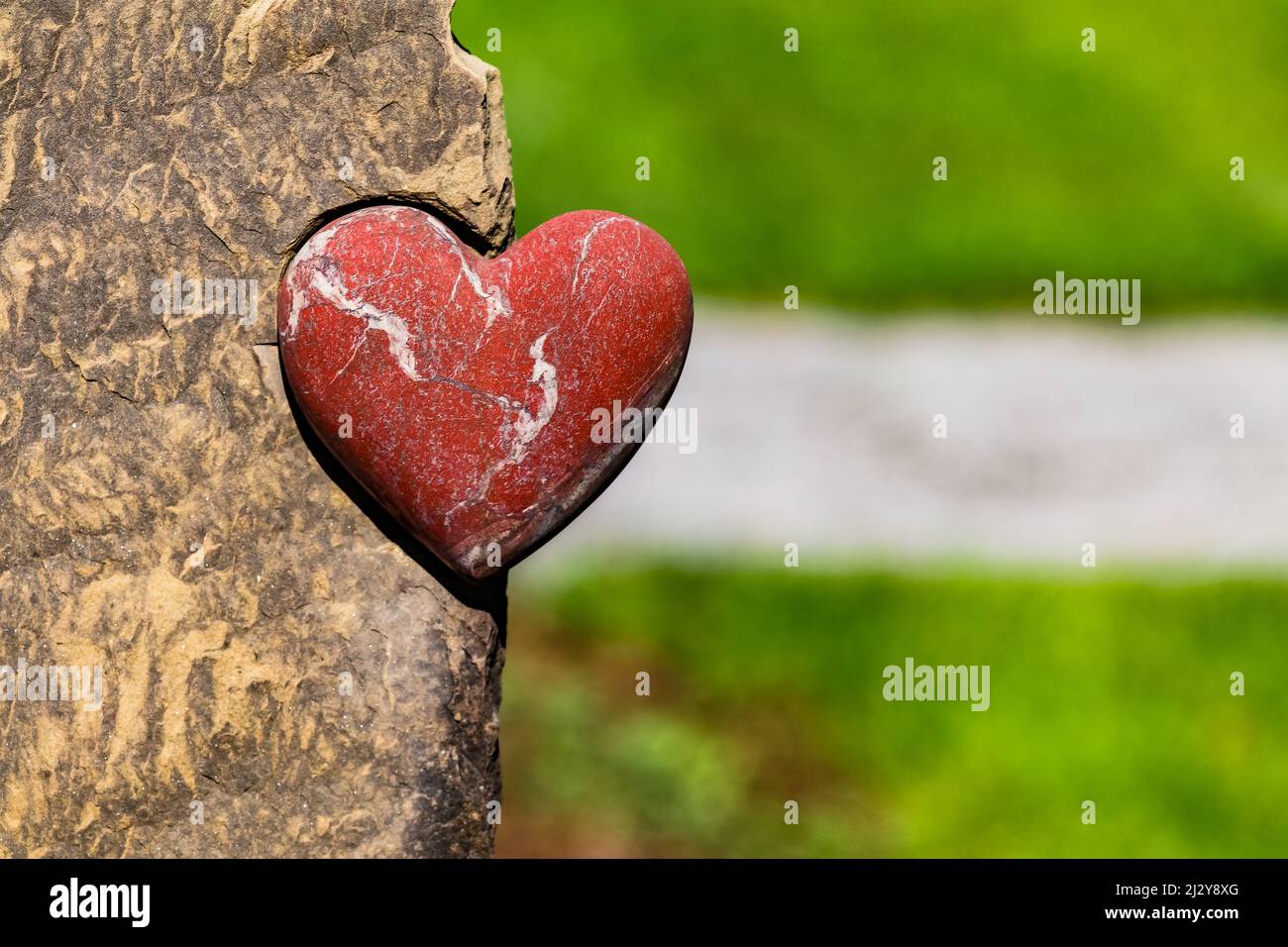 Ein rotes Herz ist ein kraftvolles Symbol für Liebe und Zuneigung Stockfoto