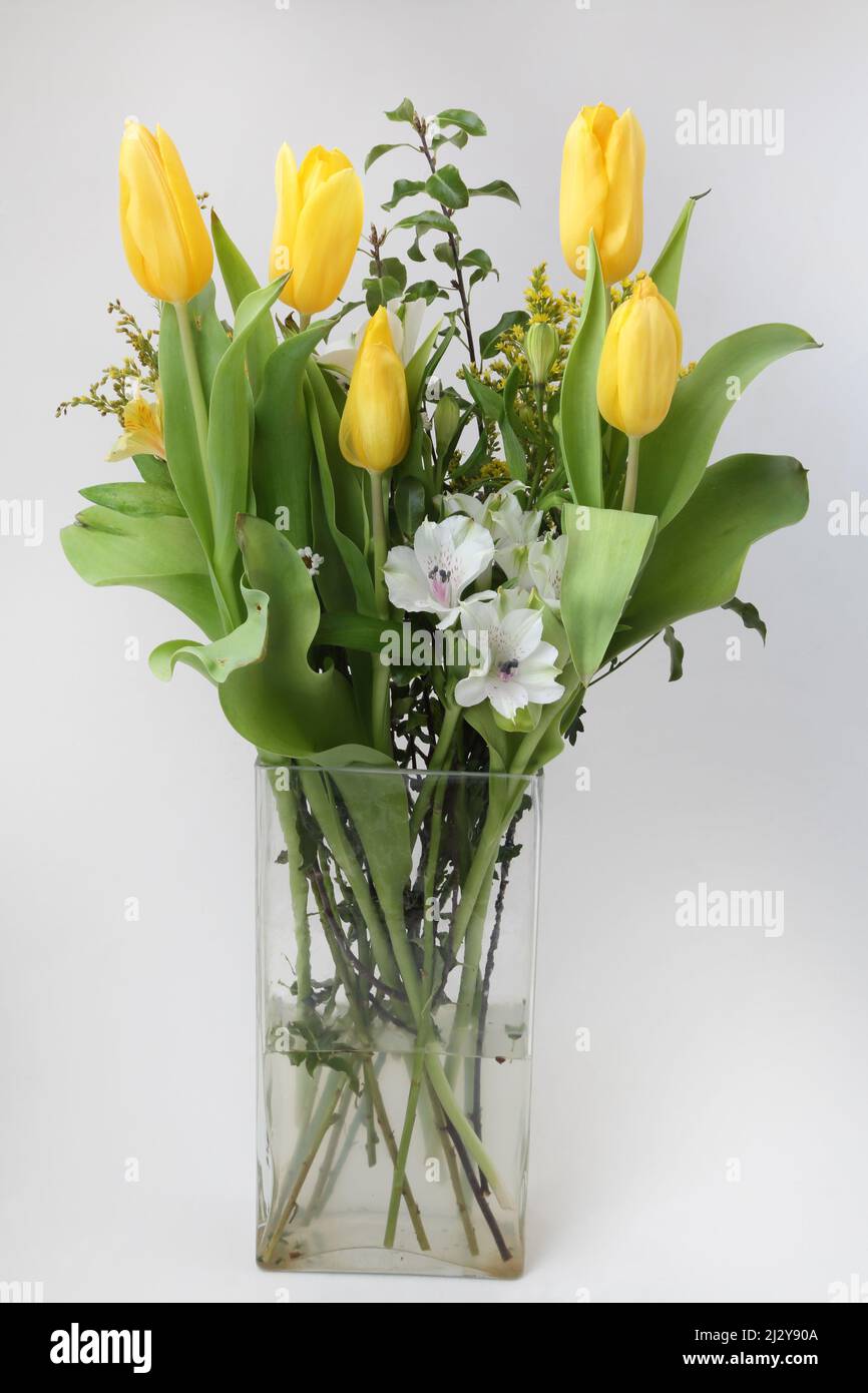 Blumenstrauß Tulpe Blumen in Glasvase Muttertagsgeschenk Stockfoto