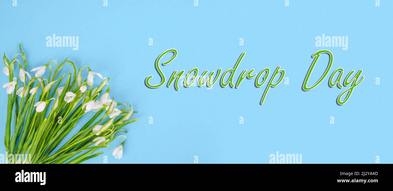 Die Inschrift The Day of Snowdrop, wunderschöne weiße Schneeglöckchen - ein Symbol des frühen Frühlings auf blauem Hintergrund. Stockfoto