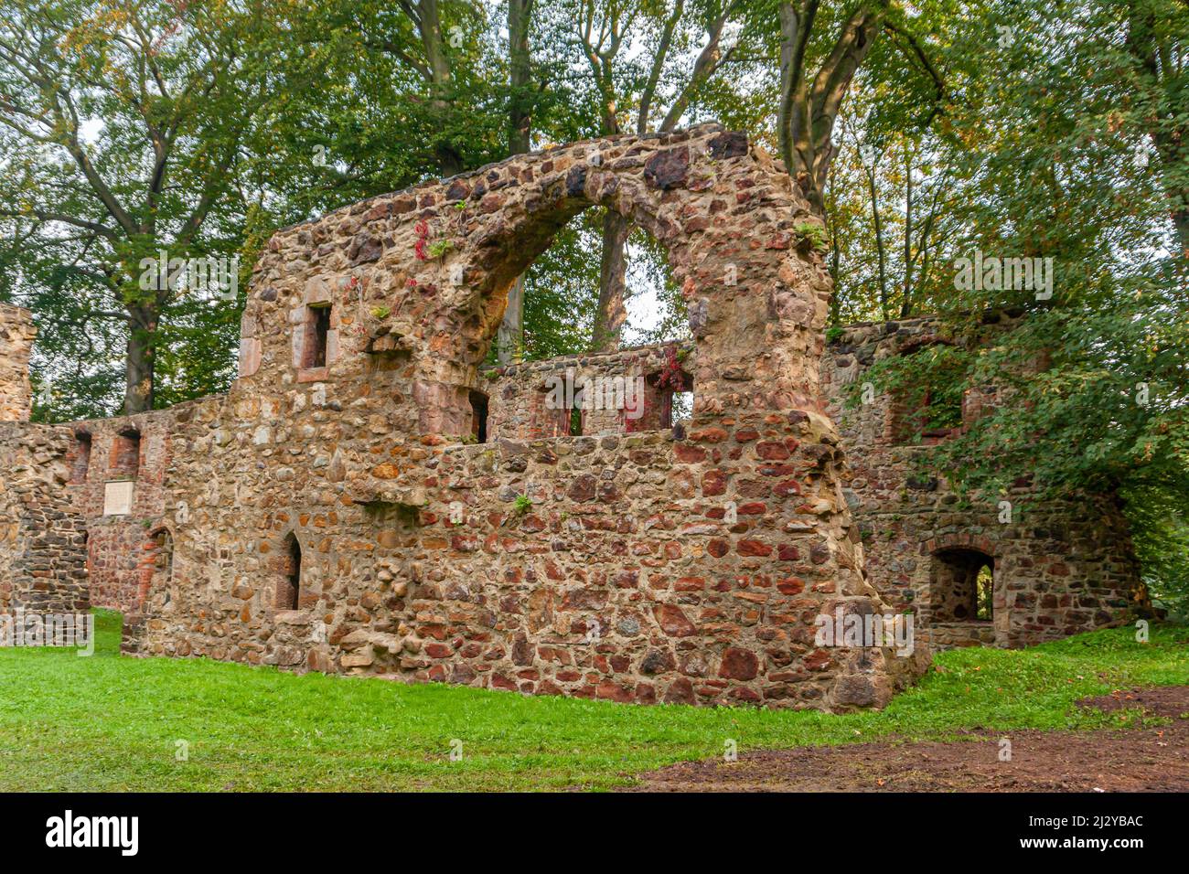 Die Ruinen der Klosterkirche in Nimbschen, einer ehemaligen Zisterzienserabtei bei Grimma im sächsischen Stadtteil Leipzig an der Mulde in Deutschland. Stockfoto