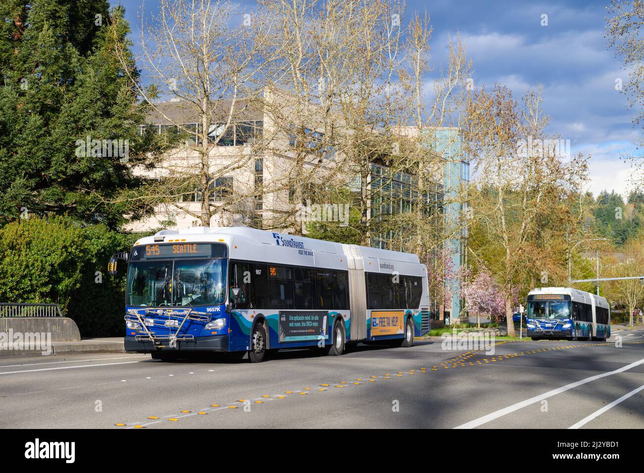 Redmond, WA, WA - 31. März 2022; Paar von Sound Trainsit Diesel Electric Hybric Bussen von New Flyer Industries, die Redmond Washington verlassen Stockfoto