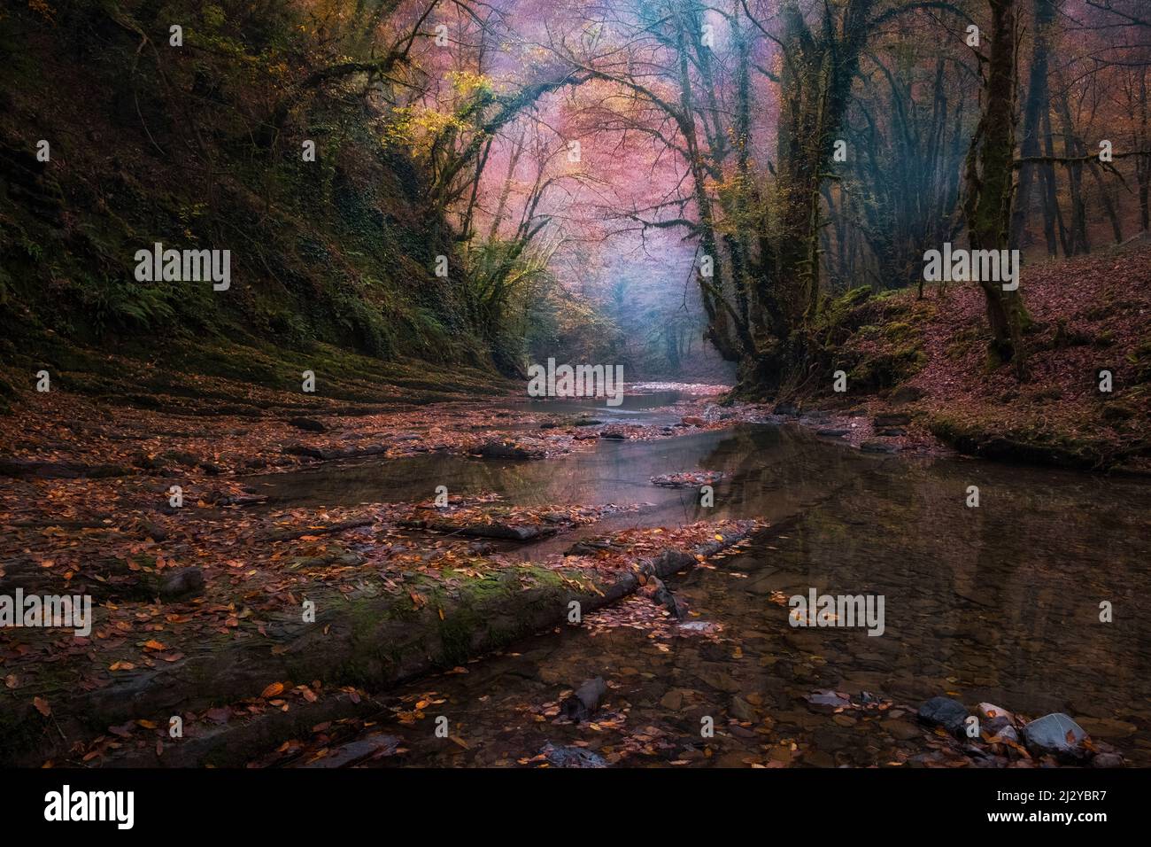 Fluss in den Subtropen im Herbst. Neblige Morgendämmerung auf dem Fluss. Stockfoto
