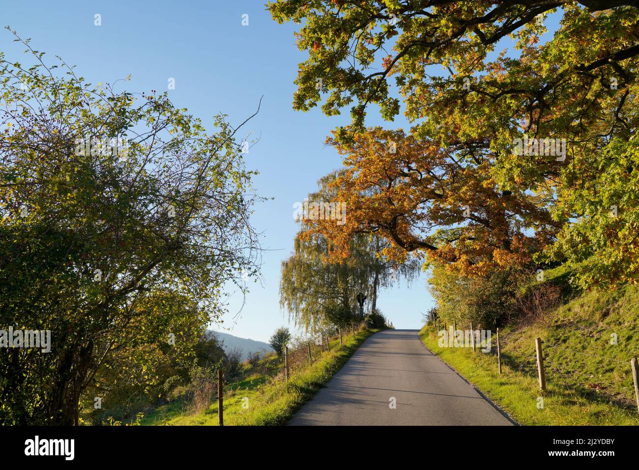 Kleine Landstraße bei Peißenberg im Oktober, Bayern, Deutschland Stockfoto