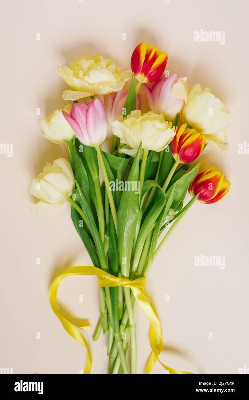 Ein heller Frühlingsstrauß aus Tulpen auf einem beigen Hintergrund. Flache Grußkarte Stockfoto