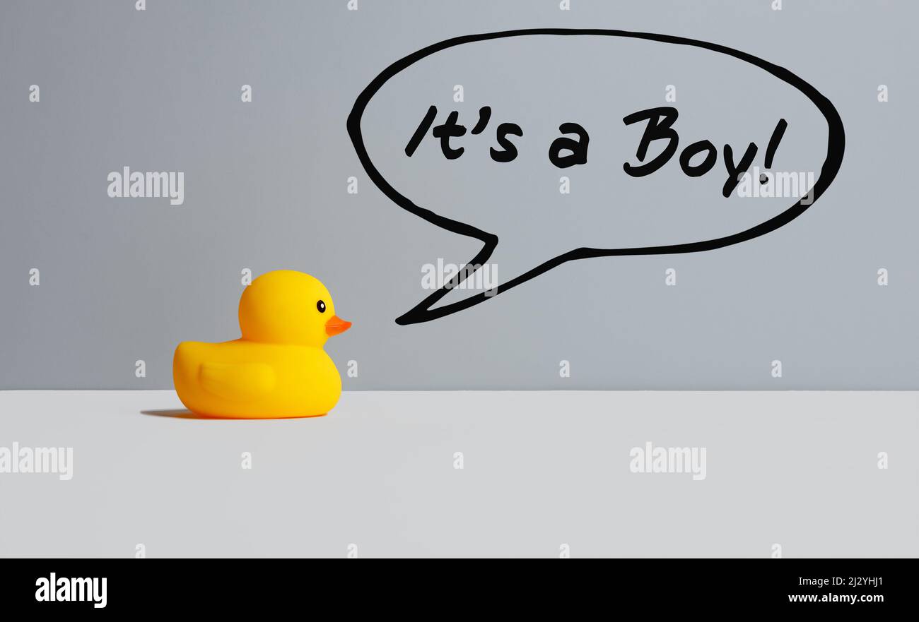 Gelbe Spielzeug-Gummiente macht die Ankündigung, es ist ein Junge. Babyansage oder Babydusche-Konzept für Grußbotschaften. Stockfoto
